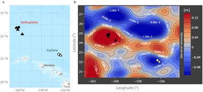 Differences in cyanophage and virioplankton production dynamics in eddies of opposite polarity in the North Pacific Subtropical Gyre